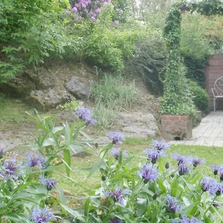 Maison Cosy Avec Jardin, Cheminee, Wi-fi Et Animaux Admis A - Fr-1-510-101 Willies