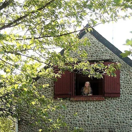 Maison Cosy Avec Jardin, Cheminee, Wi-fi Et Animaux Admis A - Fr-1-510-101 Holiday home